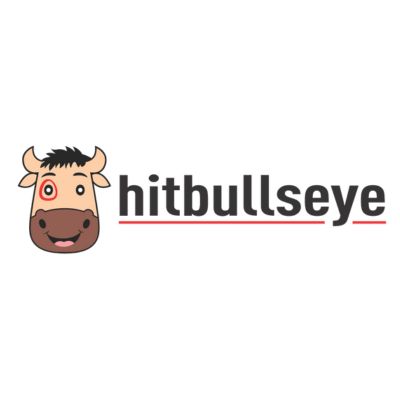 hitbullseye logo